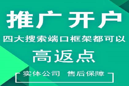 百度推广实战攻略：案例与策略