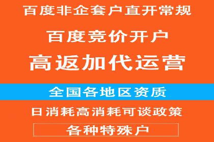 百度搜索推广的成功案例：企业如何实现精准营销